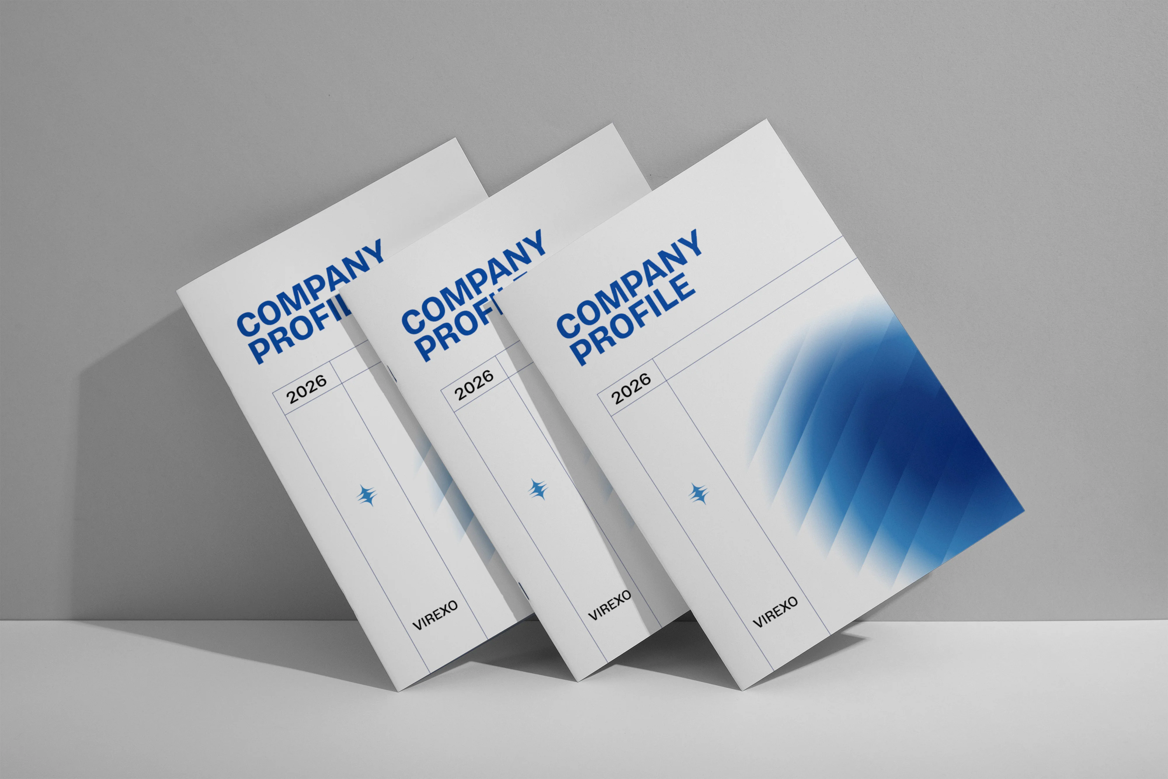 Virexo Company Profile Design