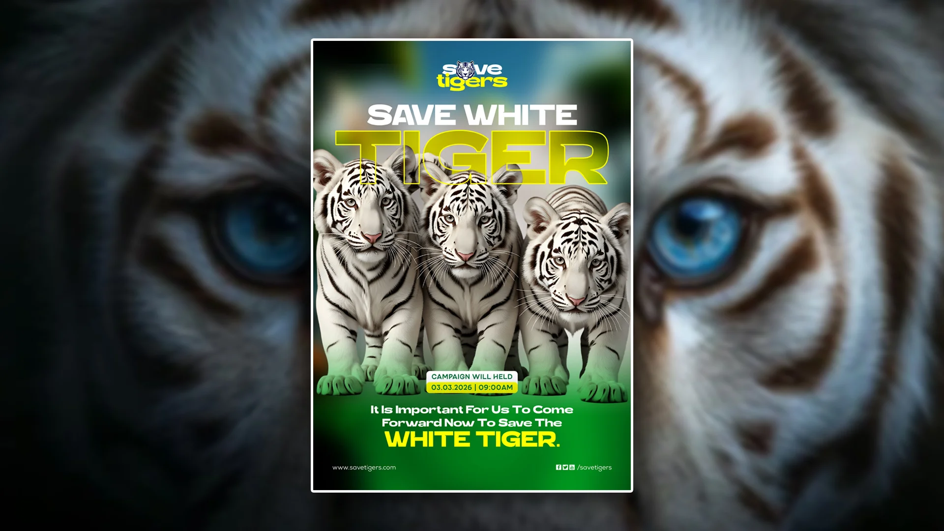 Save Tigers Campaign Promotion Flyer Design